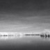 Grasslands